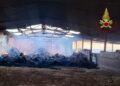 Guspini, incendio di fieno e paglia all’interno di due strutture di un’azienda agricola: danni ingenti