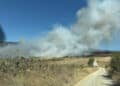 Incendio fra Sinnai e Maracalagonis, la Sindaca Fadda: “Grazie ai volontari sul campo”