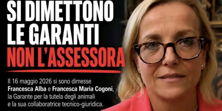 Cagliari, le garanti degli animali si dimettono: «Così non si poteva lavorare». Farris: «È tutto fermo, 60 Mila euro ancora liberi»