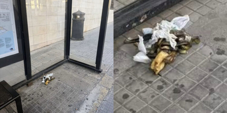 Cagliari, bucce di banana gettate a terra alla fermata del bus a pochi passi dal cestino porta rifiuti: “Un semplice gesto può fare la differenza”