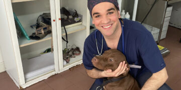 L’informazione di Radio Zampetta Sarda, il cane e il gatto sentono dolore?