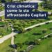 La svolta di Zedda contro il caldo a Cagliari: “Climatizziamo le scuole e piantiamo mille nuovi alberi”