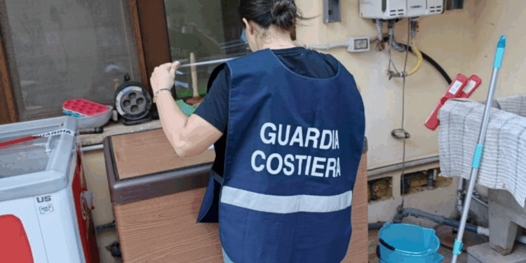 Celle frigorifere e pesce non tracciato, sanzioni per 21 mila euro e sequestri per 2 quintali tra Cagliari e Iglesias