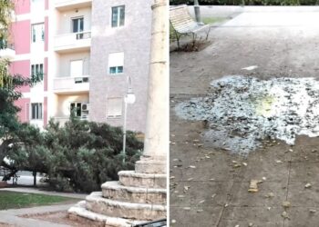 Cagliari, degrado a piazza San Saturnino: l’albero caduto da oltre un anno, panchine danneggiate e buio di notte
