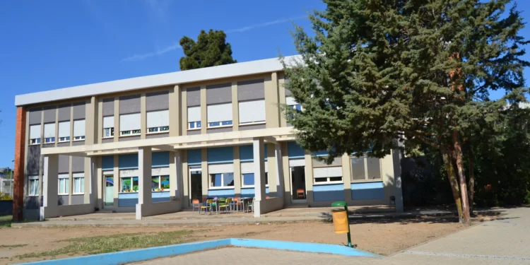 Pirri, allarme topi nella scuola primaria di via Enrico Toti: “Da oltre un mese avvistamenti, i genitori chiedono la disinfestazione”