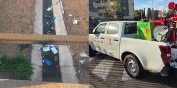 Comuni invasi dai topi, partito il piano di derattizzazione nella Città Metropolitana