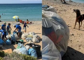 Quartu, a Mari Pintau un mare di rifiuti: raccolti centinaia di chili di pattume nascosto anche in mezzo alla vegetazione