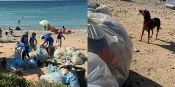 Quartu, a Mari Pintau un mare di rifiuti: raccolti centinaia di chili di pattume nascosto anche in mezzo alla vegetazione