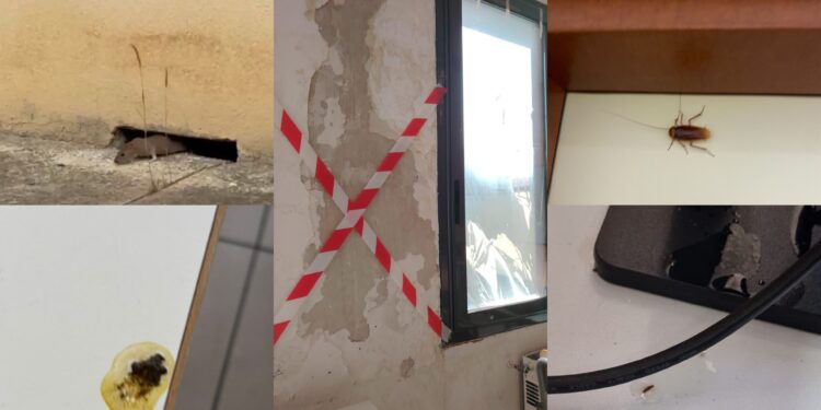 Cagliari, immagini shock dallo Scano: escrementi di topo sui banchi, la danza di blatte e roditori (VIDEO)