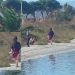 Quartu Sant’Elena, turisti in cerca di avventura a passeggio nell’area vietata di Molentargius