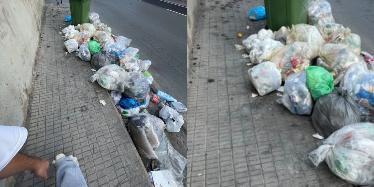 Cagliari, emergenza senza fine in viale La Playa: cumuli di immondizia sul marciapede attirano topi e blatte