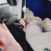 Cagliari, a bordo dei pullman senza regole e rispetto: piedi sui sedili, sigaretta in bocca e smartphone in mano