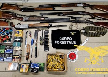 Decimomannu, caccia illegale di cervi e cinghiali: tre denunce e fucili sequestrati