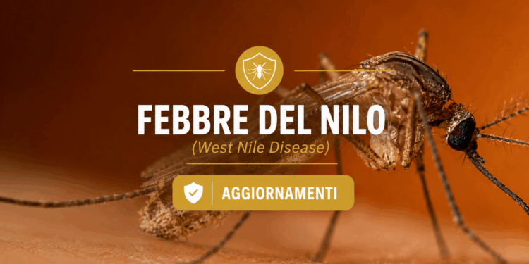 Nuovo caso di febbre del Nilo a San Gavino Monreale, partono le disinfestazioni