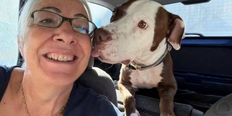 Lieto fine per Moka: finalmente a casa la cagnolona simbolo del riscatto