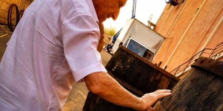 Addio a Silvio Carta, 97 anni, l’imprenditore della vernaccia e del mirto della terra baciata dal sole