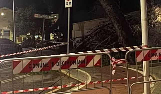Decimomannu, crolla un grosso ramo sulla pista ciclabile