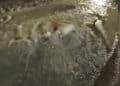 Cagliari, enorme falla d’acqua in Via Lai: “Non viene nessuno” (VIDEO)