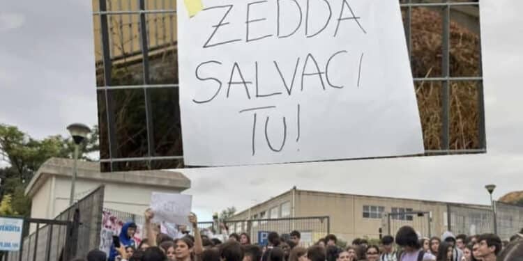 Cagliari, ratti e scarafaggi al De Sanctis- Deledda: “Grave rischio igienico-sanitario, sopralluogo immediato”