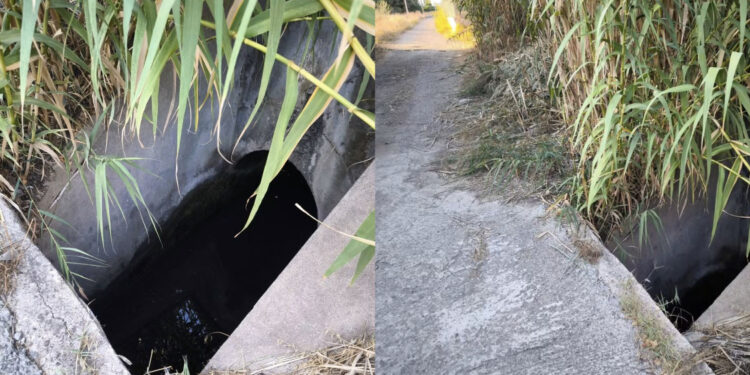 Elmas, un pozzo accanto alla strada e in parte nascosto dalla vegetazione preoccupa i cittadini: “Terrificante”