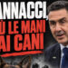 Vannacci propone i cani per fronteggiare i violenti, Rizzi: “Una vergogna, non sono armi”