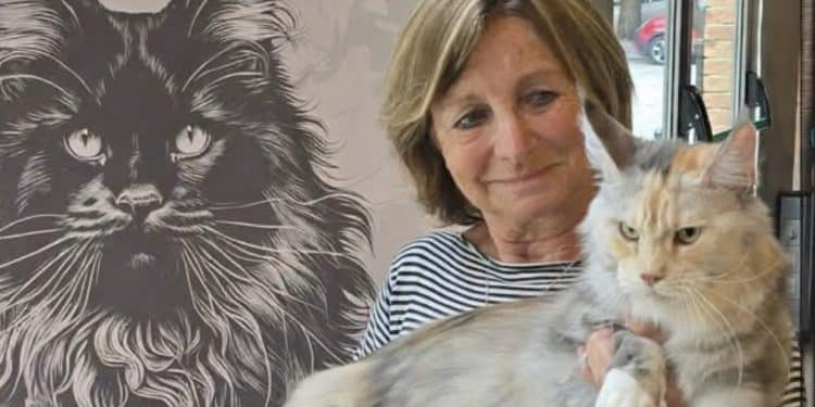 Rientra nella casa in fiamme per salvare i gatti: crolla il tetto e muore