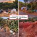 Discariche e rifiuti nelle campagne di Torre delle Stelle, gli ecologisti chiedono la bonifica ambientale
