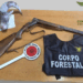 Controlli antibracconaggio a Gairo e Tertenia: accertata attività venatoria illecita in orario notturno, sequestrato un fucile