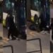 Cagliari, preso a pugni alla fermata del bus: l’aggressore si dilegua tra le risate degli amici