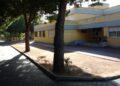 Cagliari, i topi sono una drammatica emergenza in tutta la città metropolitana: chiusa ancora la scuola di Su Planu