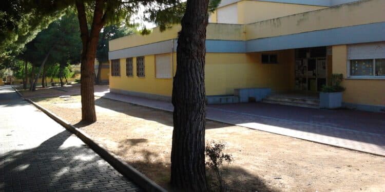 Cagliari, i topi sono una drammatica emergenza in tutta la città metropolitana: chiusa ancora la scuola di Su Planu