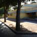 Cagliari, i topi sono una drammatica emergenza in tutta la città metropolitana: chiusa ancora la scuola di Su Planu